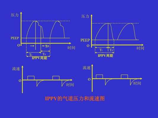 peep是什么意思医学_内源性peep是什么意思医学