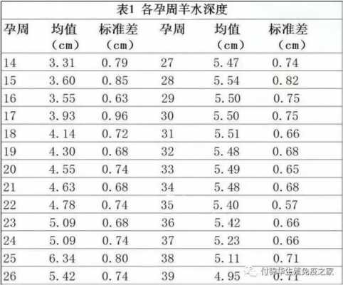 羊水暗区什么意思,羊水暗区什么意思? 