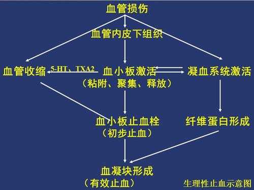 血液为什么会凝固_血液为什么会凝固在血管上