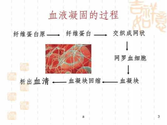 血液为什么会凝固_血液为什么会凝固在血管上