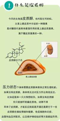 皮质类固醇是什么（皮质类固醇的主要作用）