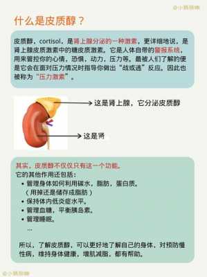 皮质类固醇是什么（皮质类固醇的主要作用）