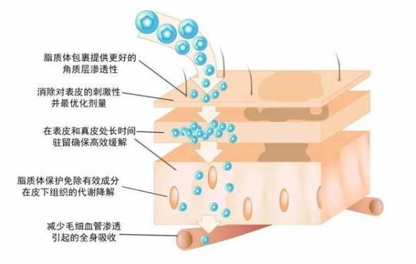 护肤品不吸收什么原因_护肤品不吸收怎么解决