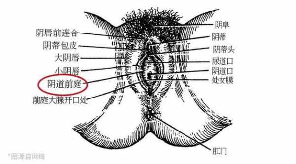 女性尿道口瘙痒什么原因,女性尿道口痒痒的是怎么回事 