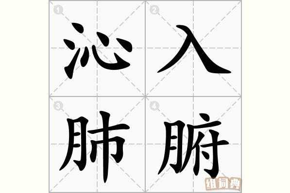  什么肺腑「肺腑什么什么四字成语」