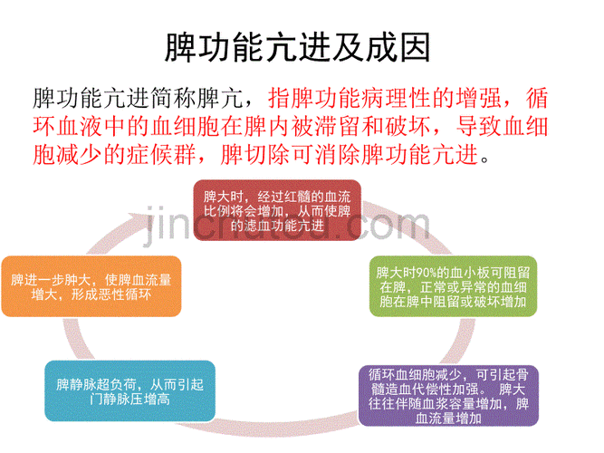 脾脏功能亢进什么意思 亢进什么意思