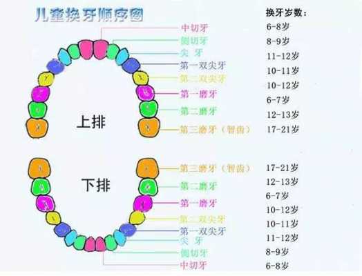 为什么会多长牙齿_为什么会长多的牙齿