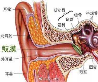 耳根疼是什么原因