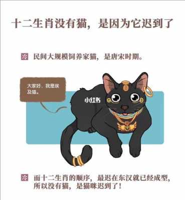 为什么十二生肖里没有猫_为什么十二生肖里没有猫却有龙