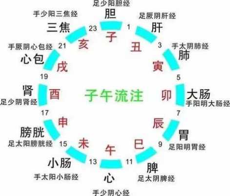 5到7点是什么时辰膀胱经-5到7点是什么时辰