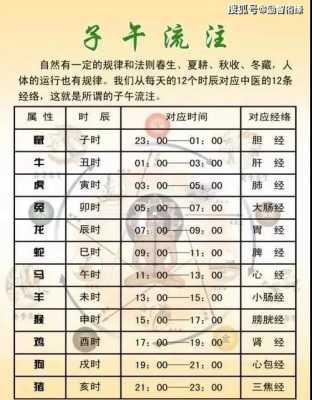 5到7点是什么时辰膀胱经-5到7点是什么时辰