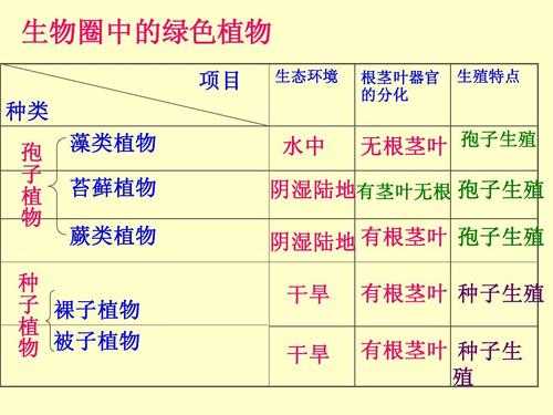 什么是被子植物,草莓为什么是被子植物 