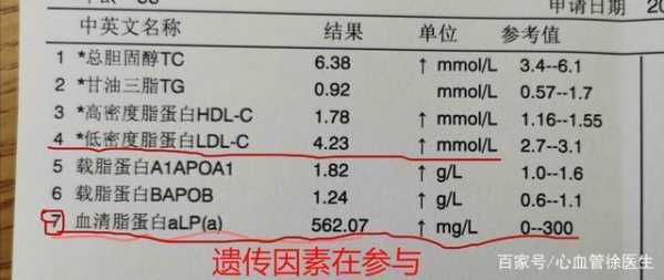 脂蛋白高是什么原因（血脂检查脂蛋白高是什么原因）