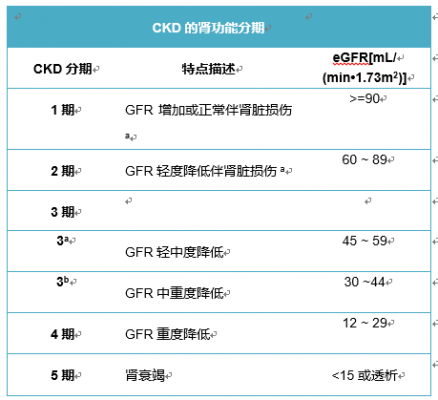 egfr医学上是什么意思