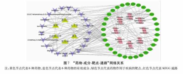  药理学是什么「网络药理学是什么」