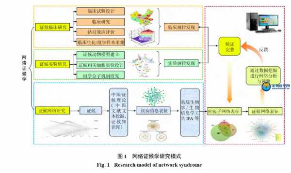  药理学是什么「网络药理学是什么」