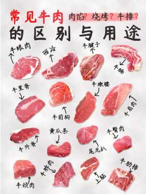 牛肉什么部位好吃