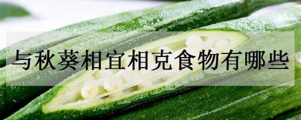 秋葵和什么相克（秋葵与什么食物相克相宜）