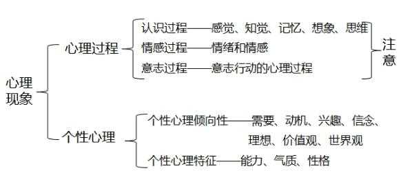 心理的实质是什么（人的心理的实质是什么）