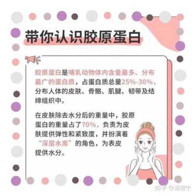 胶原蛋白有什么作用白蛋白有什么作用 胶原蛋白有什么作用