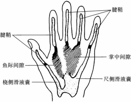 快3是什么（快3是什么黑话）