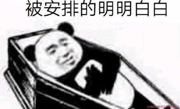 安排是什么意思（另有安排是什么意思）