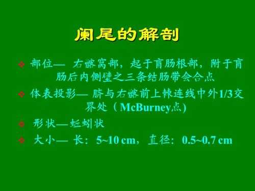  阑尾有什么用「阑尾有什么用处人为什么长阑尾」