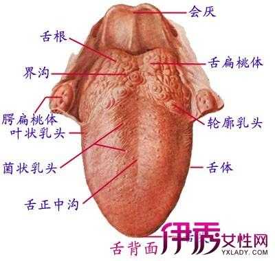 舌根疼是什么原因