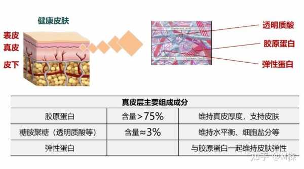 胶原蛋白有什么好处,多吃胶原蛋白有什么好处 