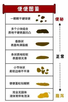  大便褐色是什么原因造成「大便颜色9种图解」