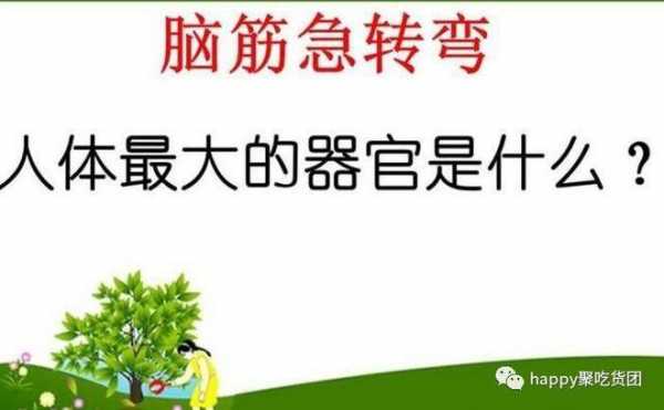 脑筋急转弯人体最大的器官是什么? 人最大的器官是什么