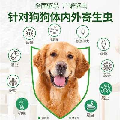 狗有跳蚤买什么药-狗有跳蚤用什么药