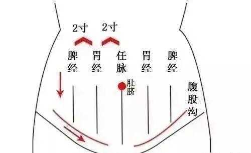 肚皮硬邦邦的是为什么