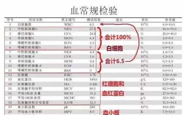 血常规可以查出什么病吗 血常规可以查出什么病