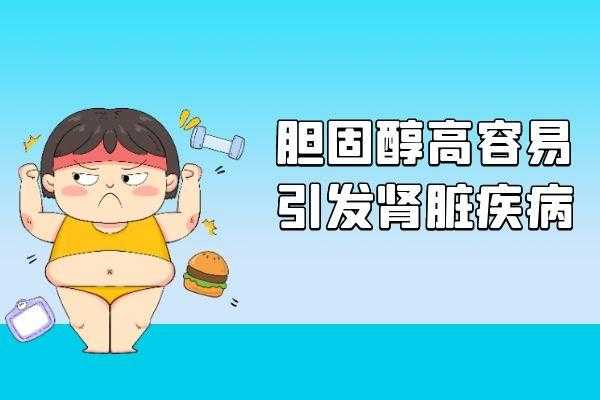 什么叫总胆固醇高的原因