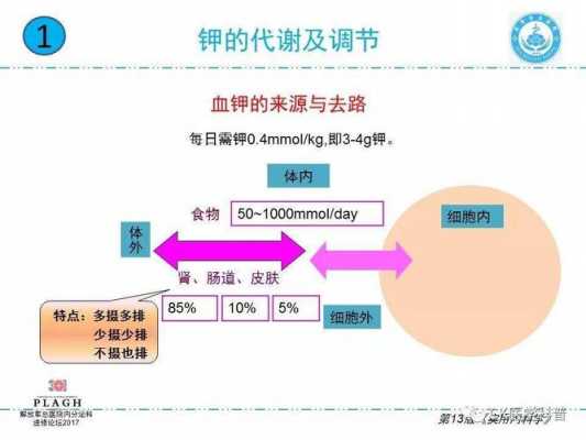 低血钾是什么原因引起的