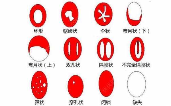  处女膜是什么时候形成的「怎么确定自己膜还在不在图片」