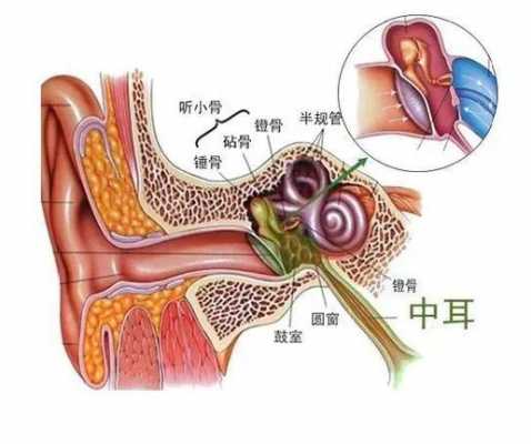 中耳炎是什么意思到底是什么病