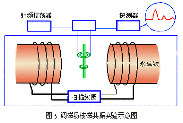 核磁共振是什么原理,有辐射吗-核磁共振是什么原理