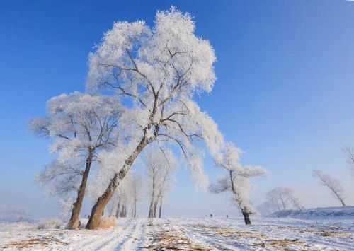 为什么喜欢下雪