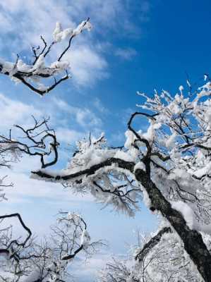 为什么喜欢下雪