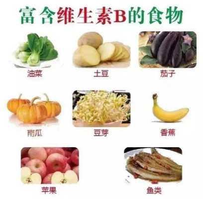 维生素b族指的是哪些食物-维生素b族是什么意思