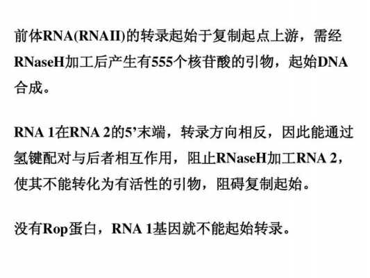 rnase h是什么酶 rnaseh是什么酶