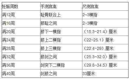 产检宫高是什么意思-宫高是什么意思