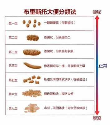 大便检查有脂肪球+怎么办 大便检查脂肪球是什么