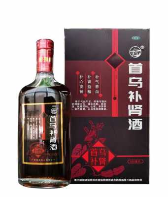 什么酒补肾_什么酒补肾阳虚