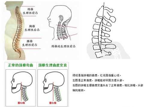 颈椎c0是什么