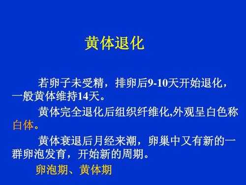 黄体期是什么意思 卵是什么意思