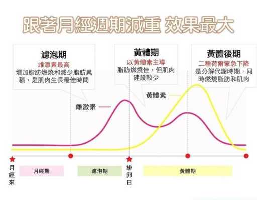 黄体期是什么意思 卵是什么意思