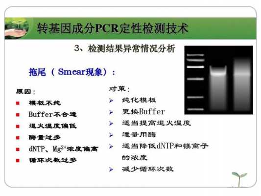 什么叫pcr-什么叫pc